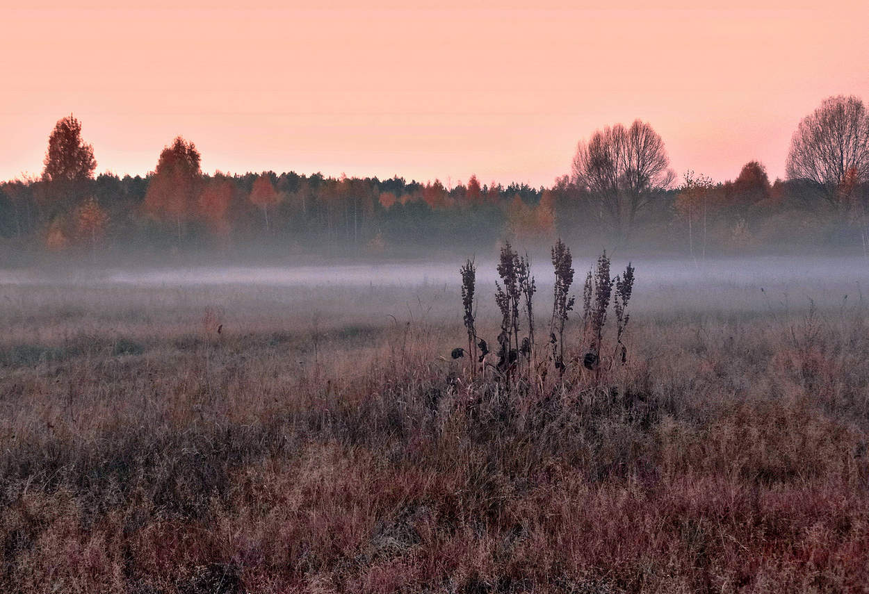 Туманный осенний вечер