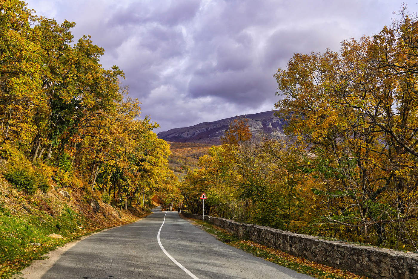 Осенняя дорога