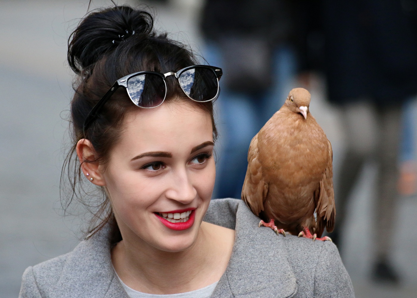 Город и его обитатели