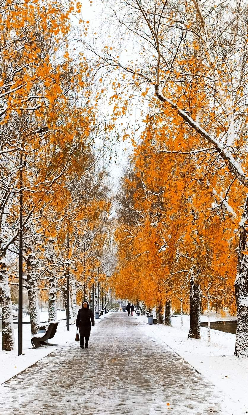 Поздняя осень