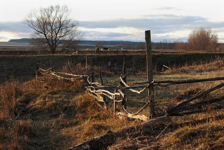 Старая ограда