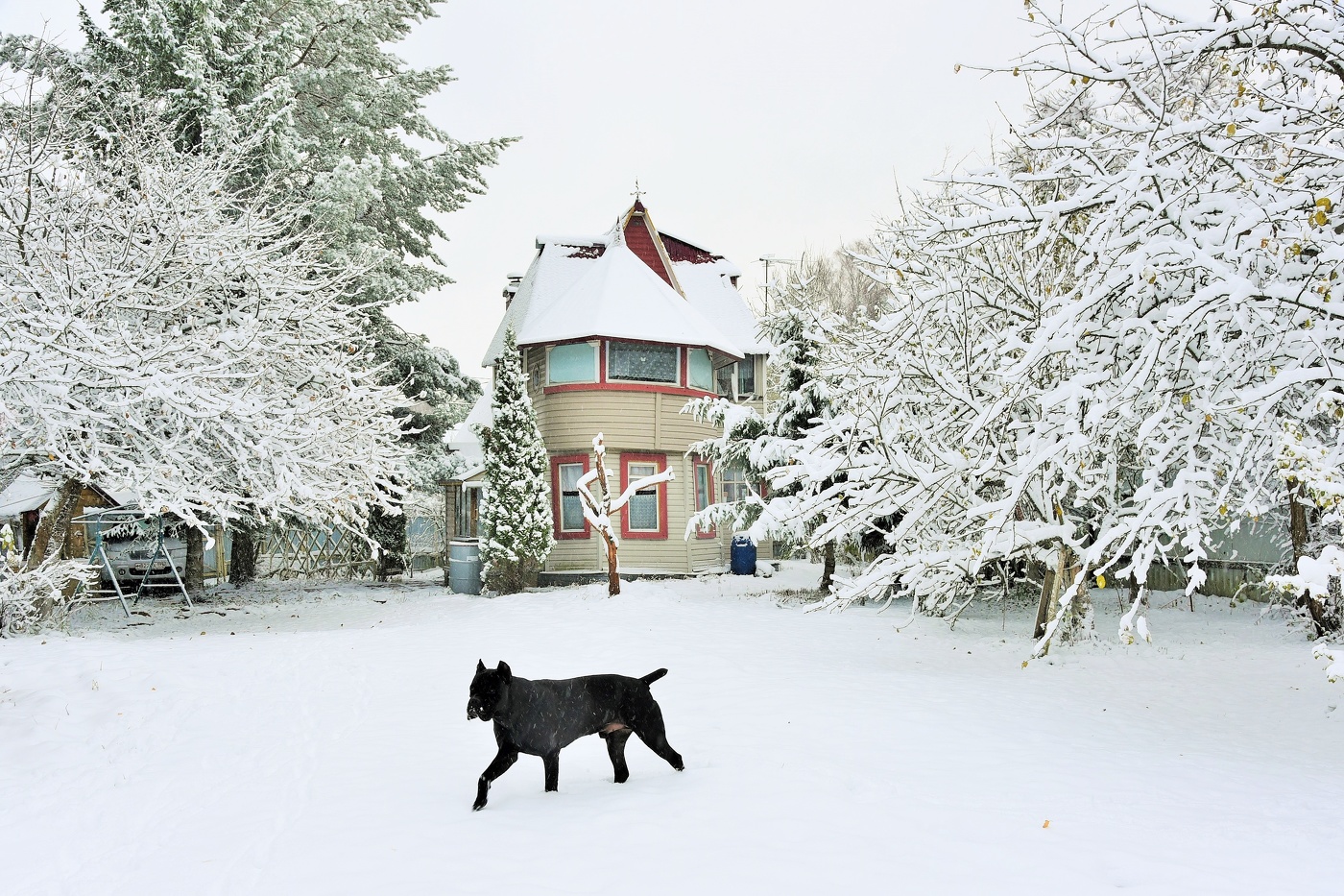 "А по утру они проснулись ..."