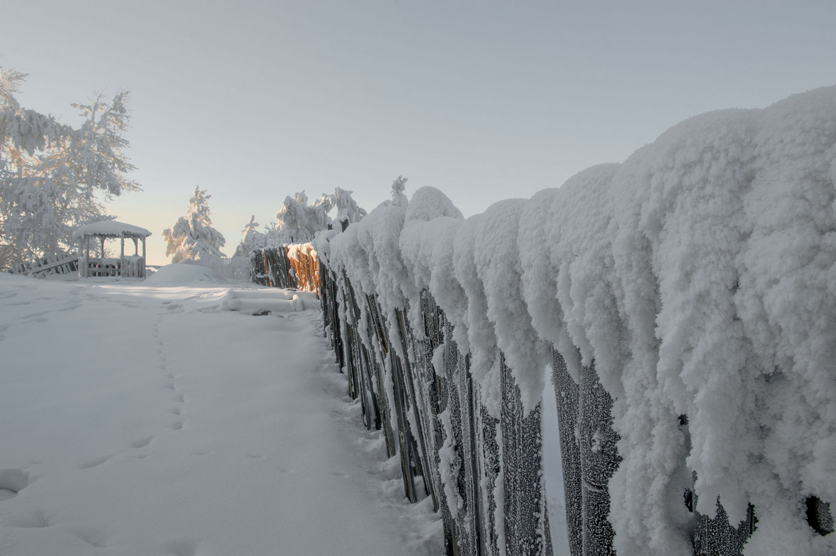 И все покрылось инеем.