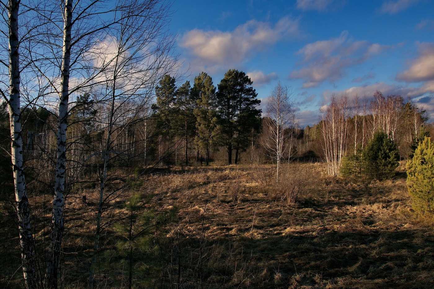 *Поздняя осень.**