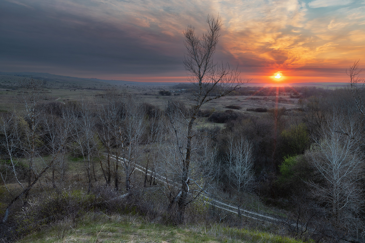 Белая дорога
