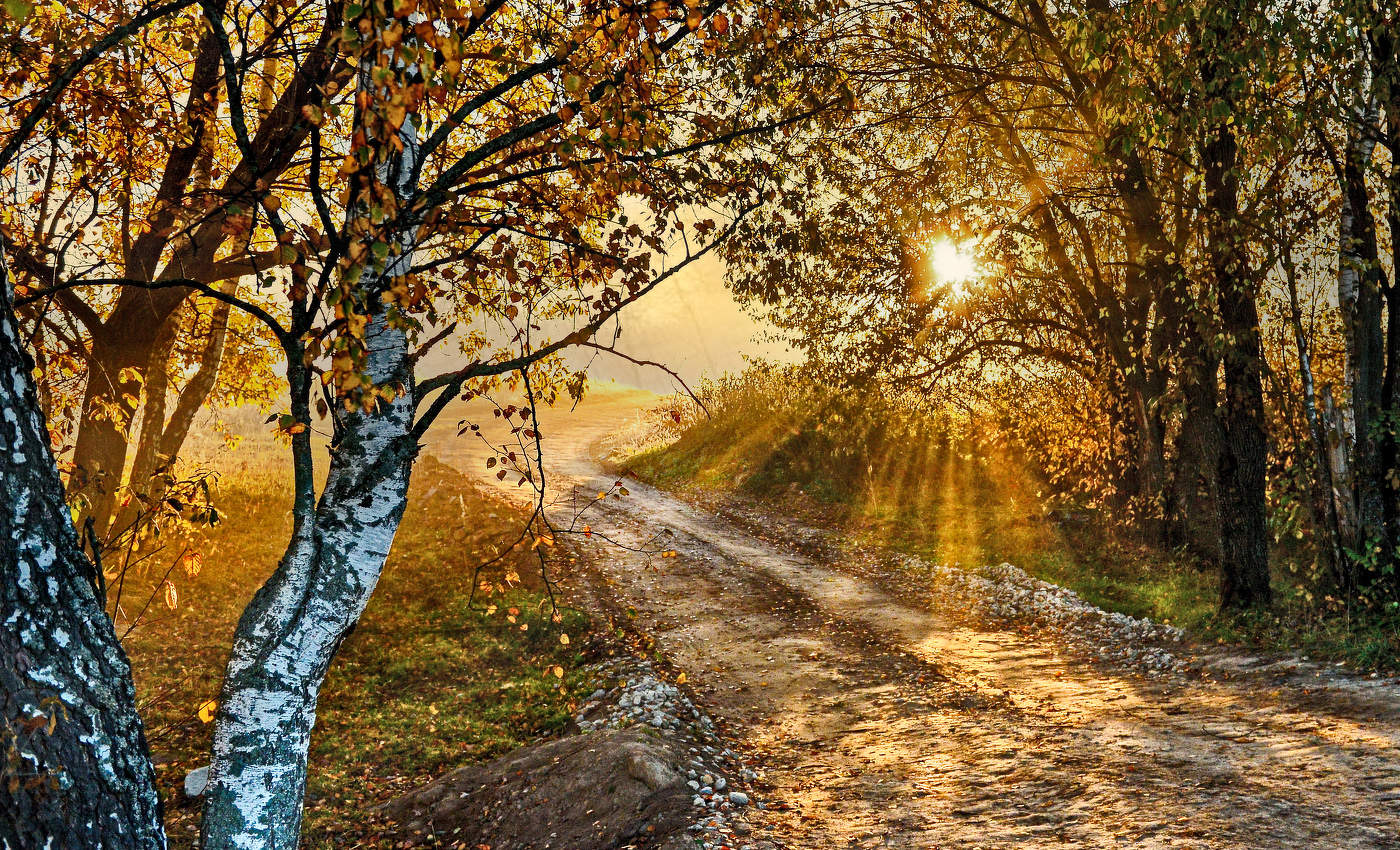 Позолоченный сезон.