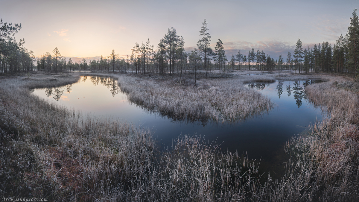 "Меандры болотных озер"