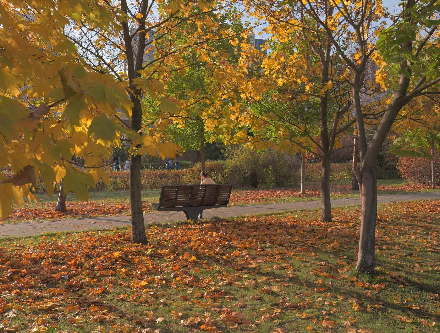 Недолгих дней золото
