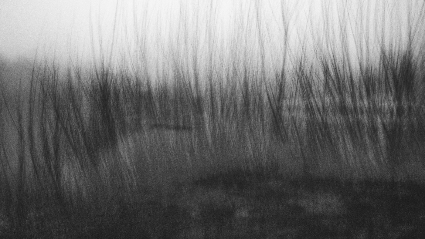 Жизнь вокруг