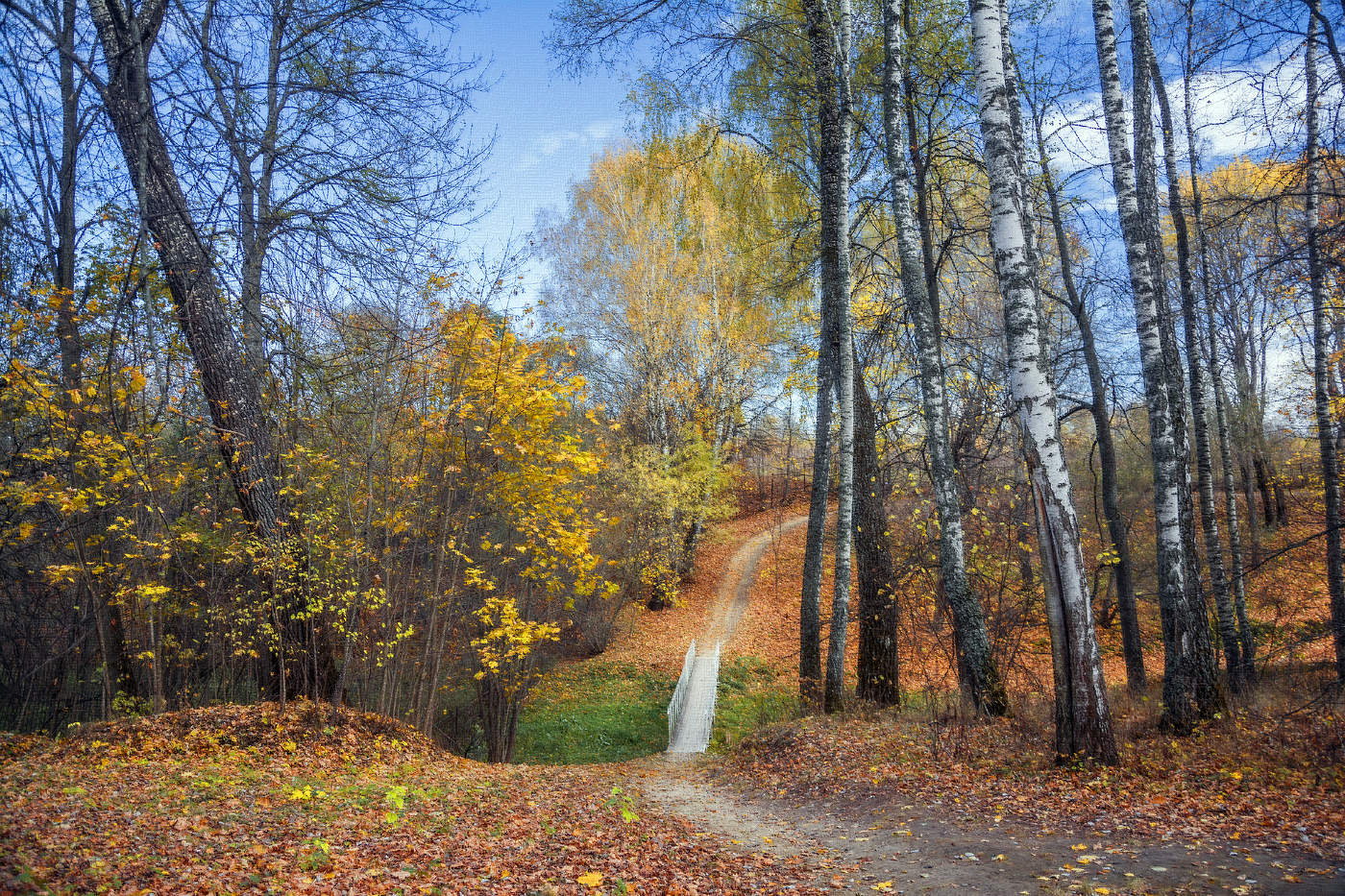 В осеннем парке
