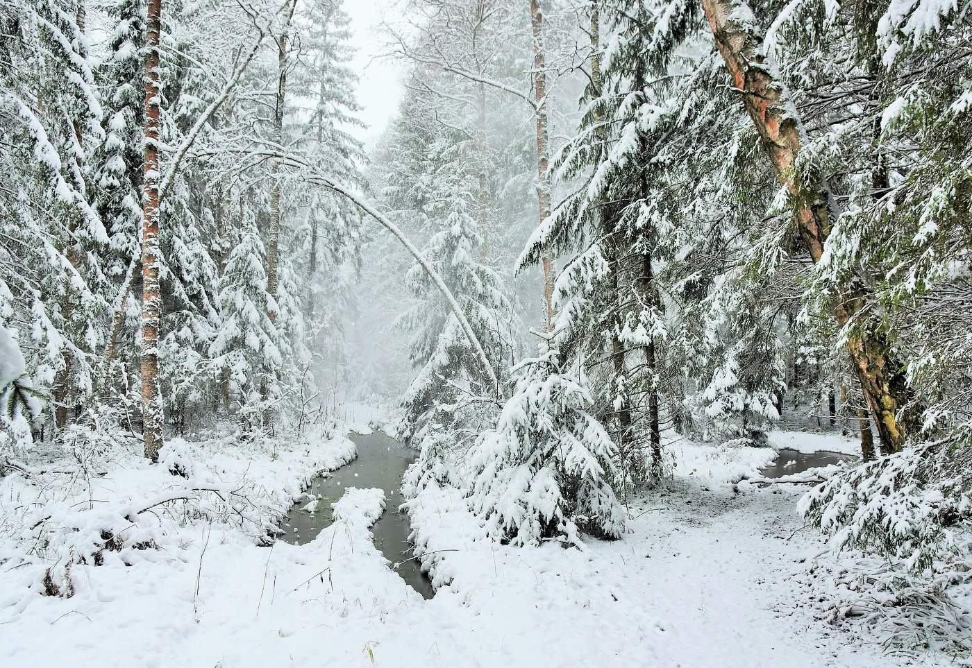Капризы ноября ...