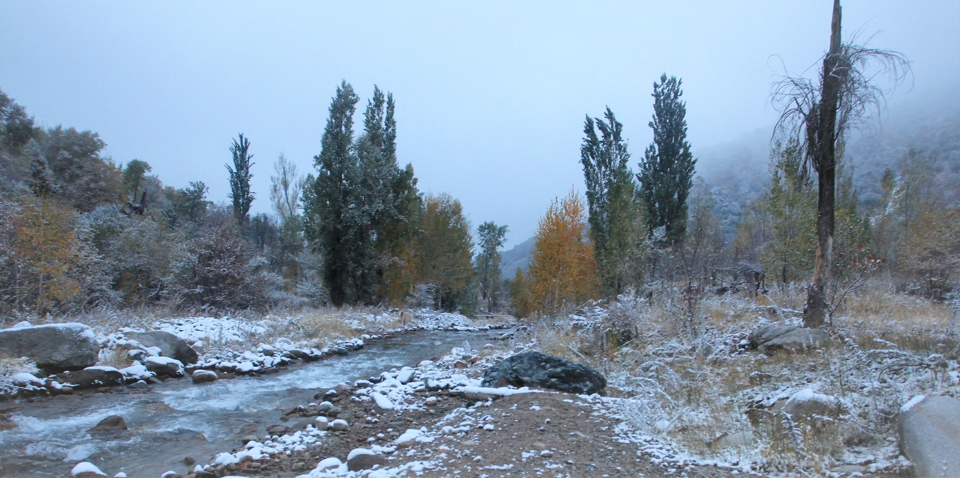 Где то рядом каркнула ворона...