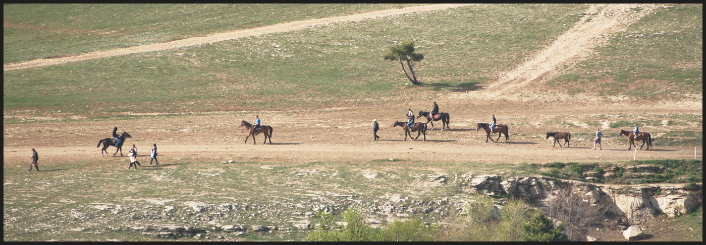 Кони и люди. Гобелен плато.