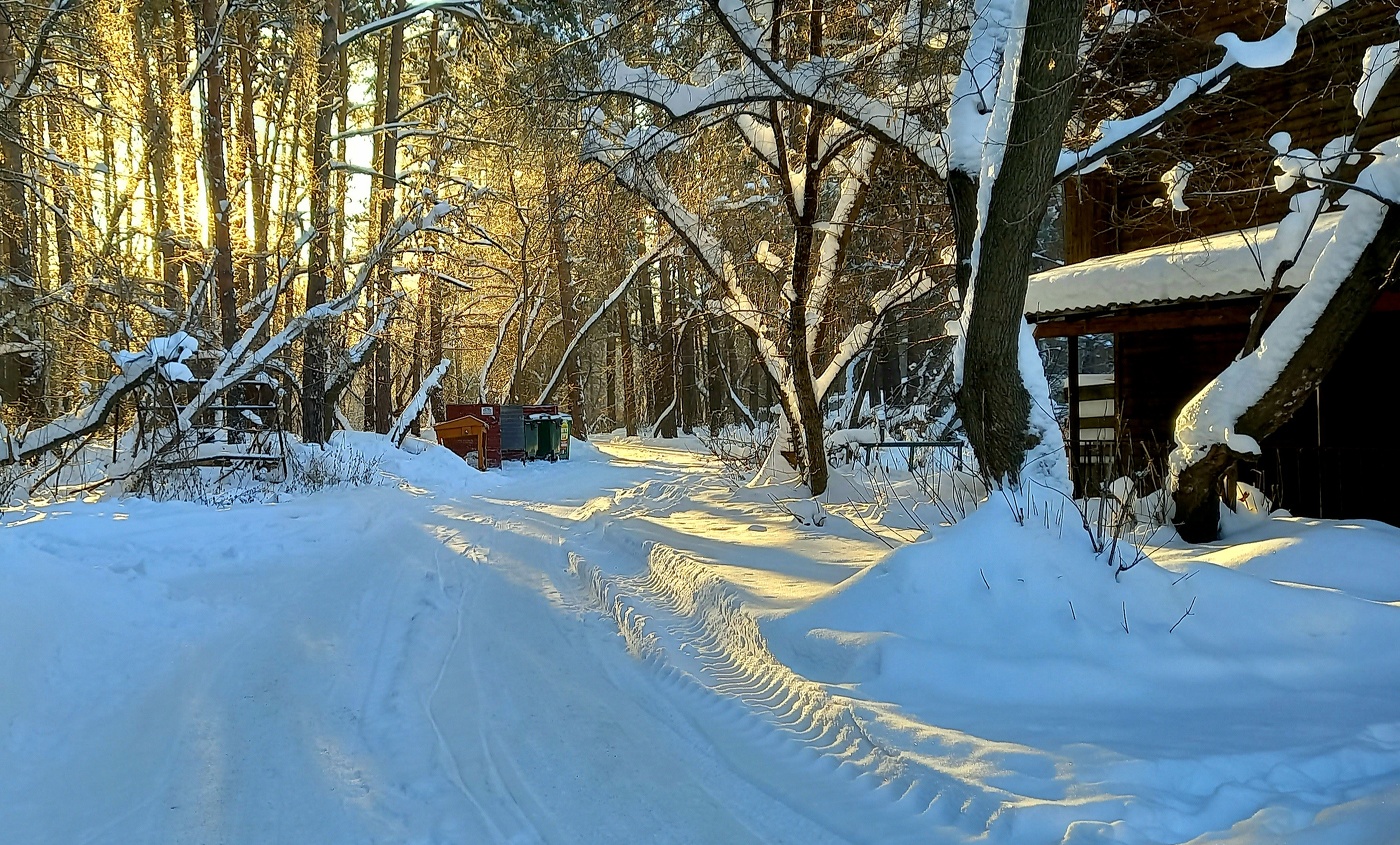 морозное утро