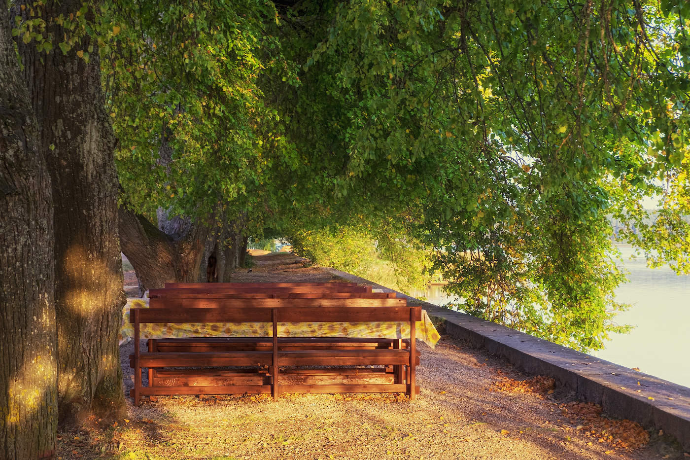 Липовая аллея