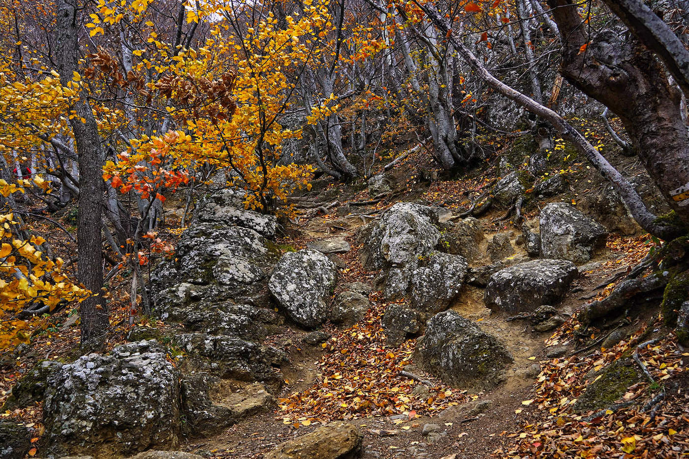 На Южном Демерджи