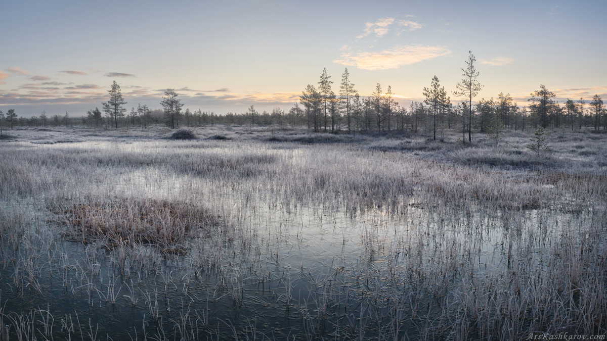 "Замерзающие топи"