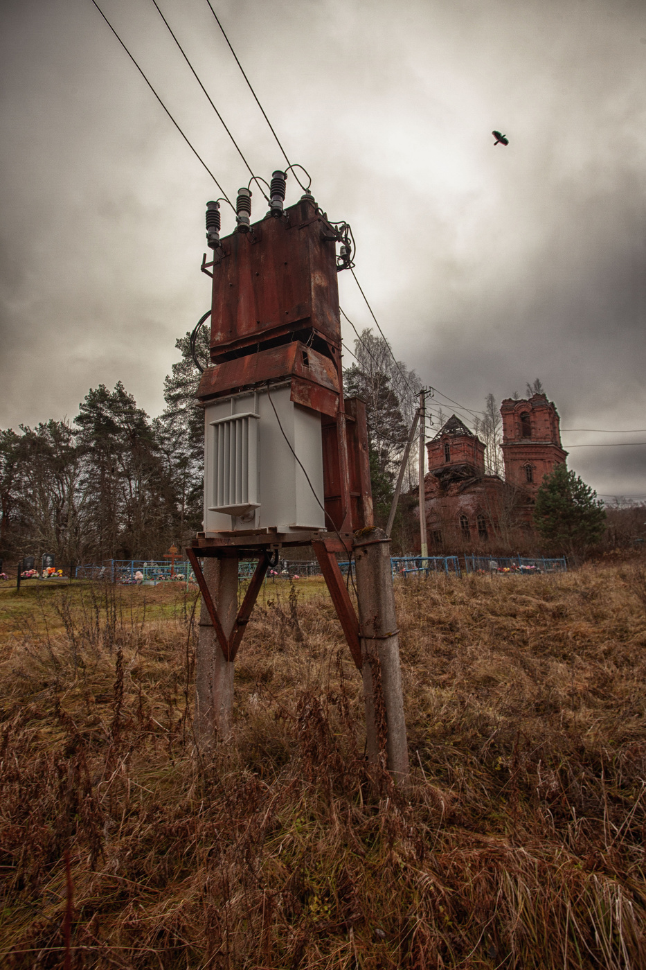 Жизнь вокруг