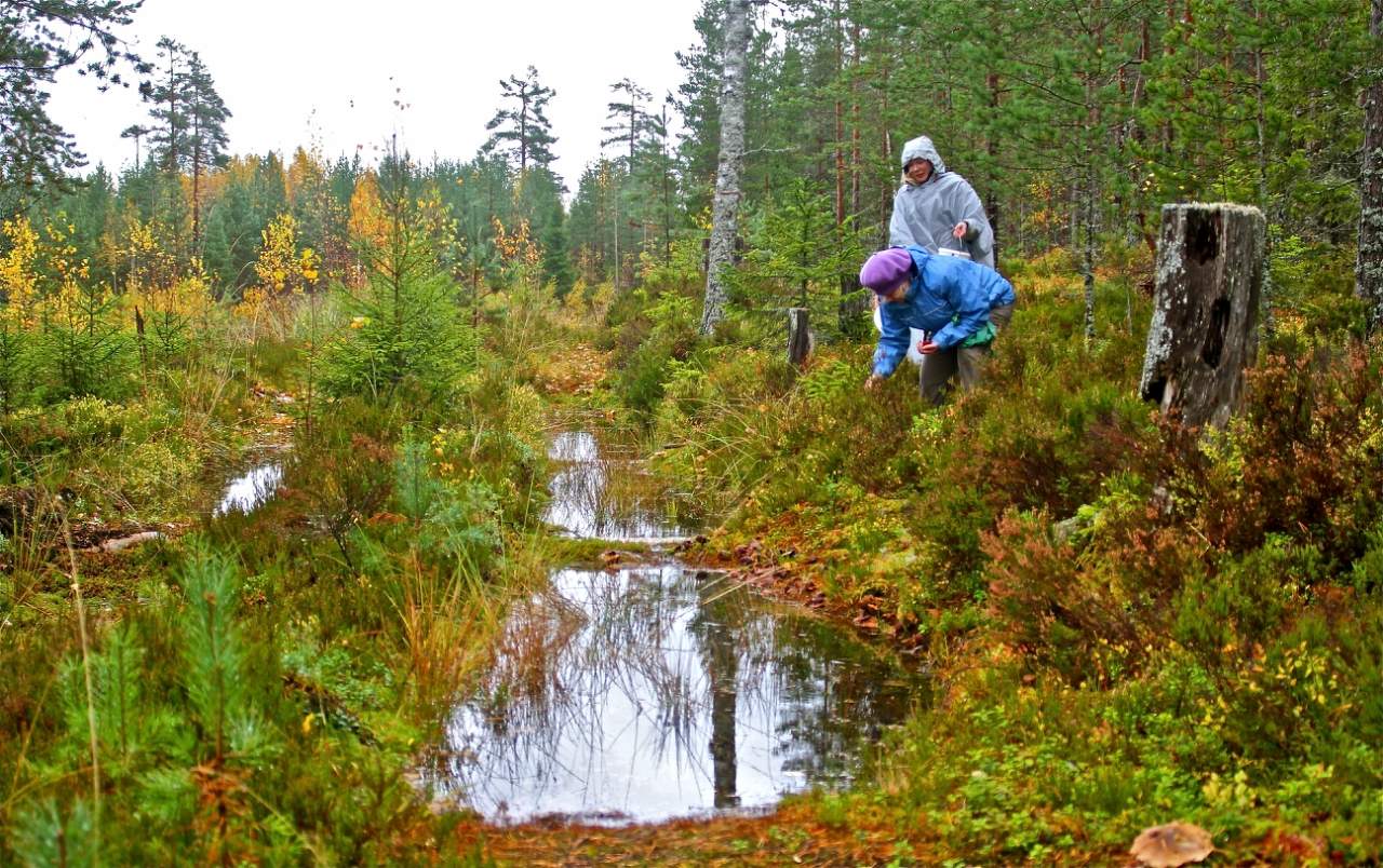 Дождь перестал ...