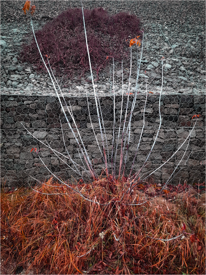 пока не придумал,