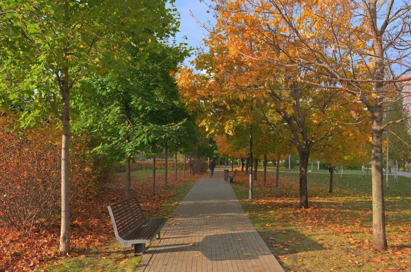 Осенняя тема