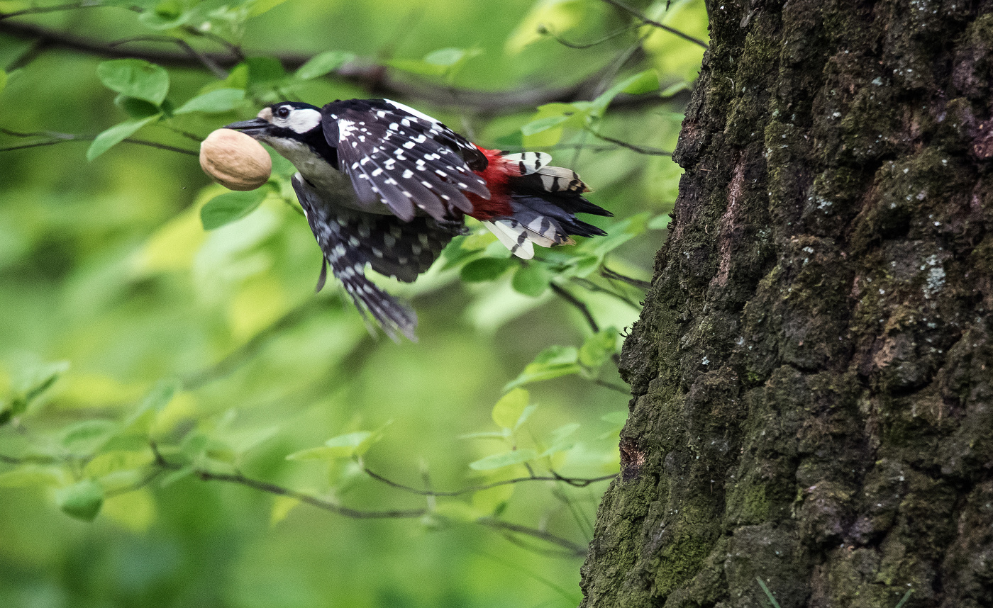 Удачный день!