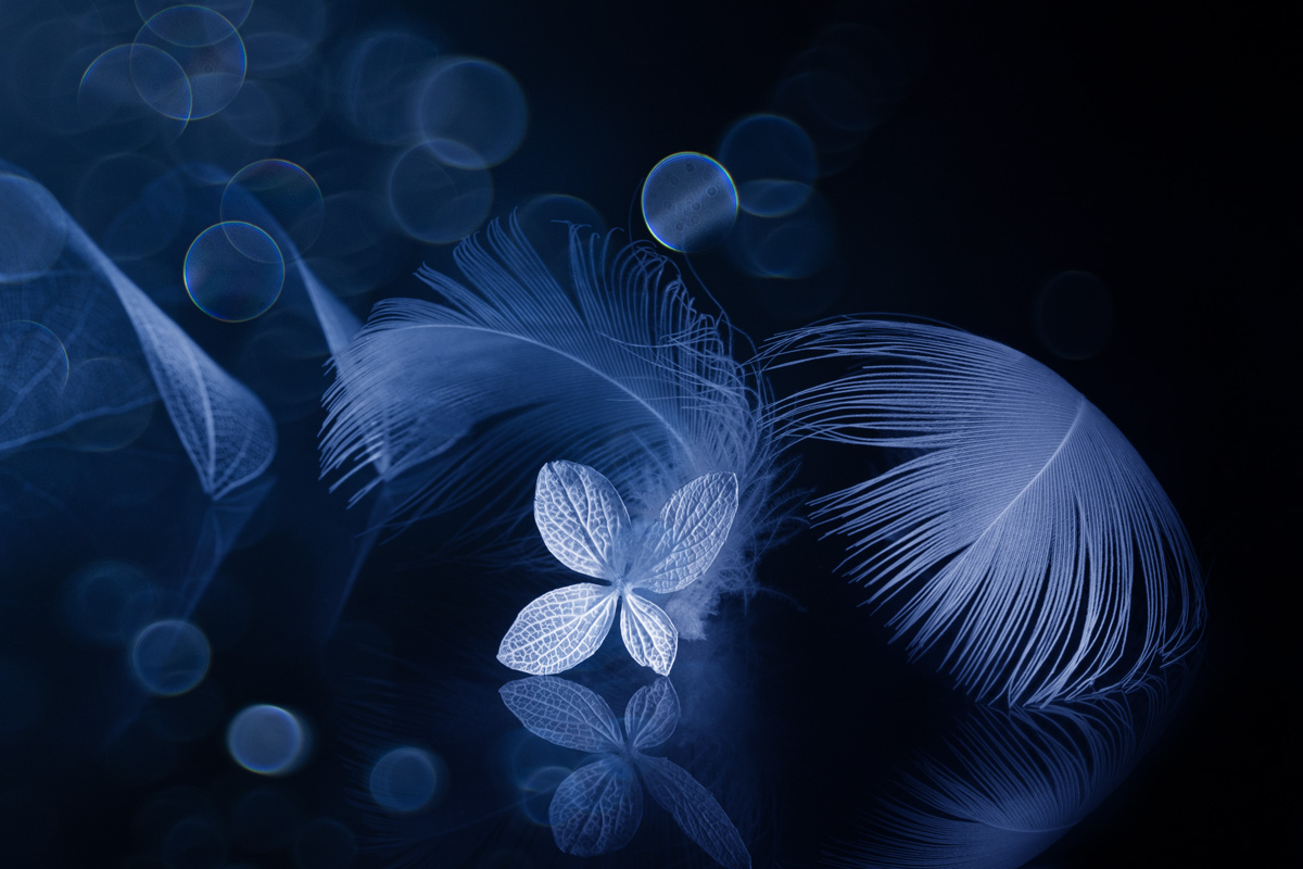 Uncomplaining silence