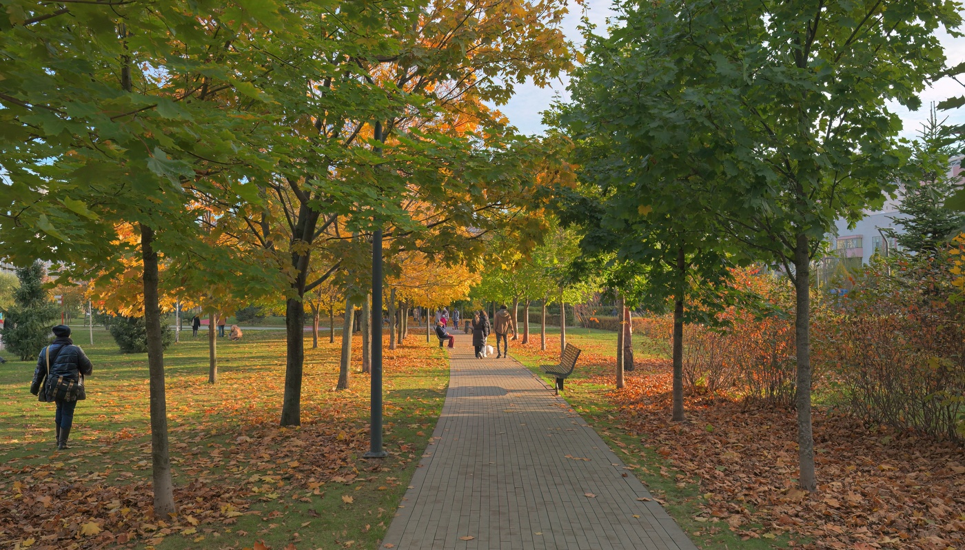 Осенние темы