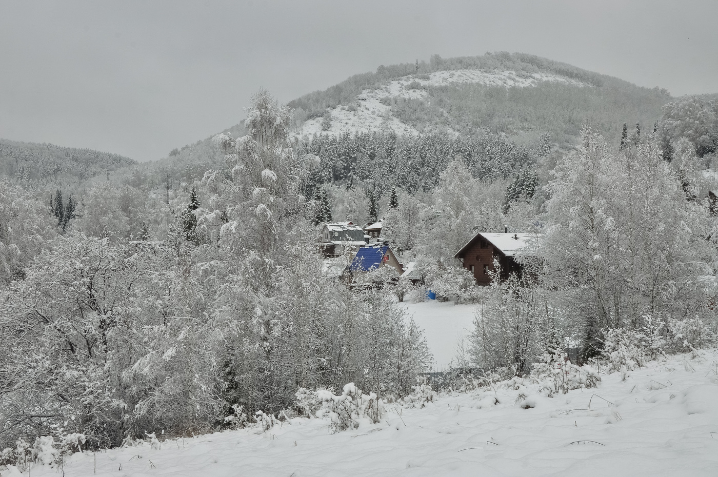 Подкатунь. Первый снег