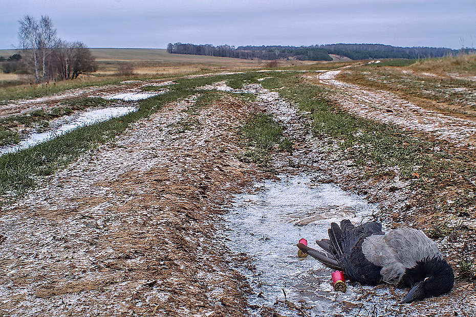 Прерванный полёт.