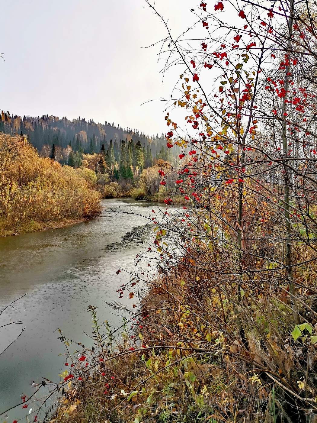 Дождь и солнце над тайгой
