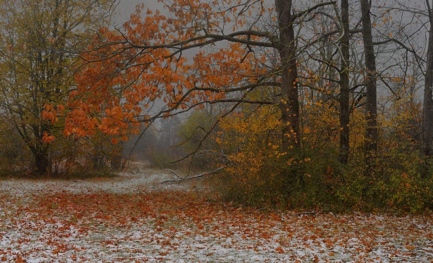 Осенний наряд