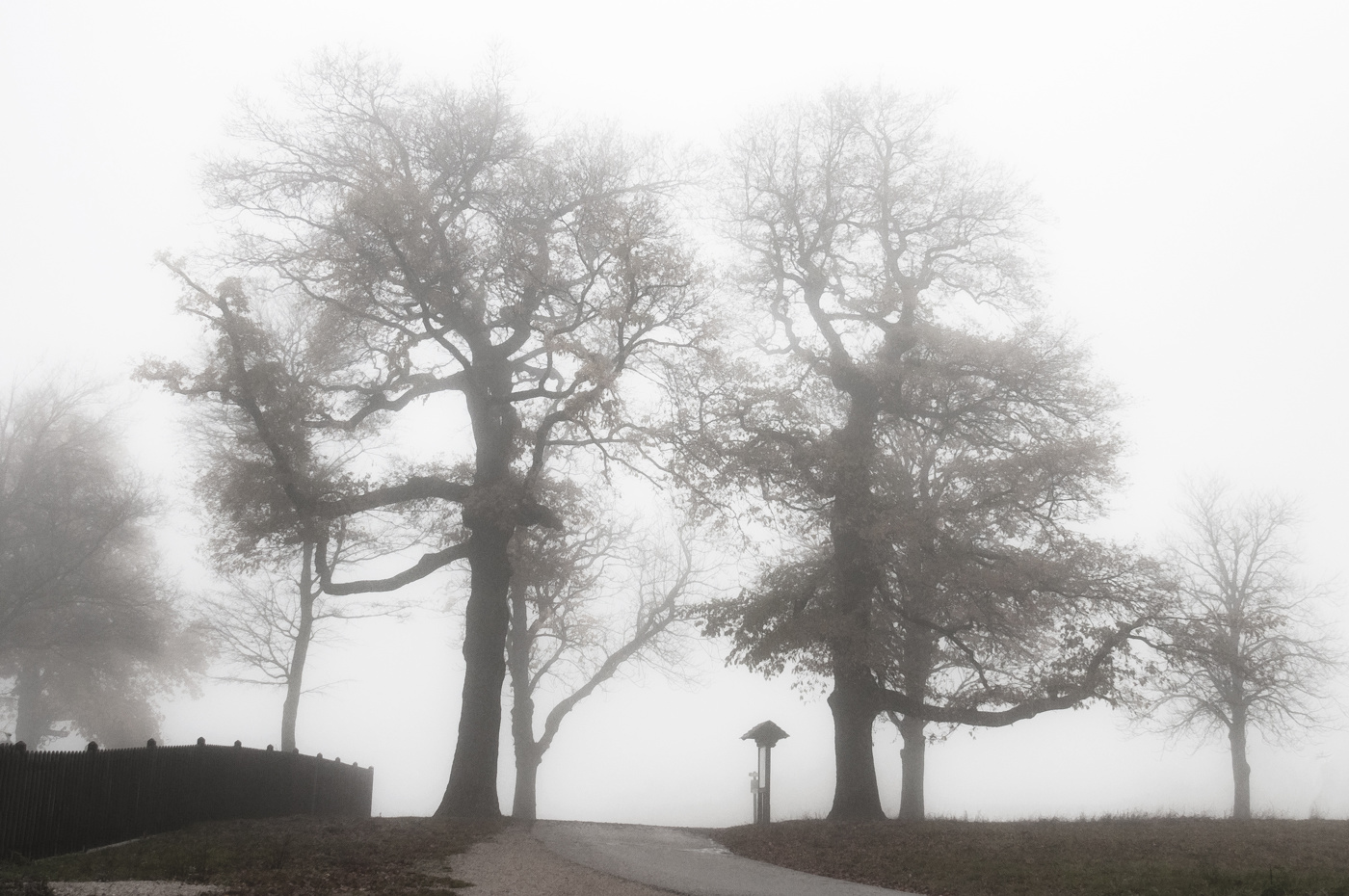 Осенние контуры