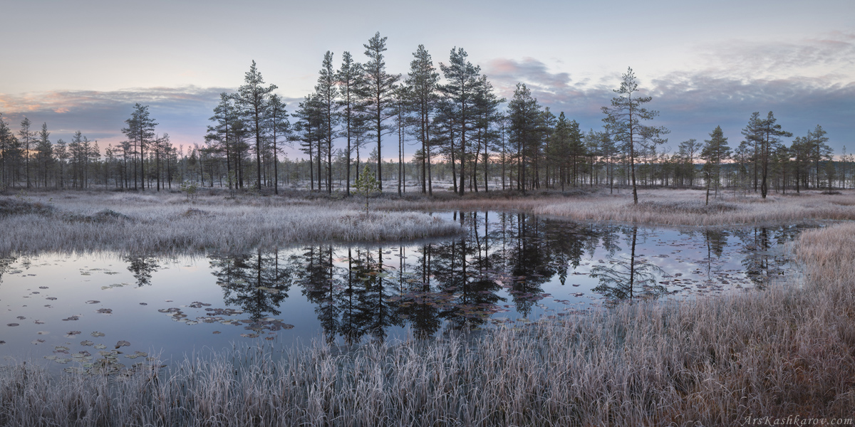 "Морозное отражение"