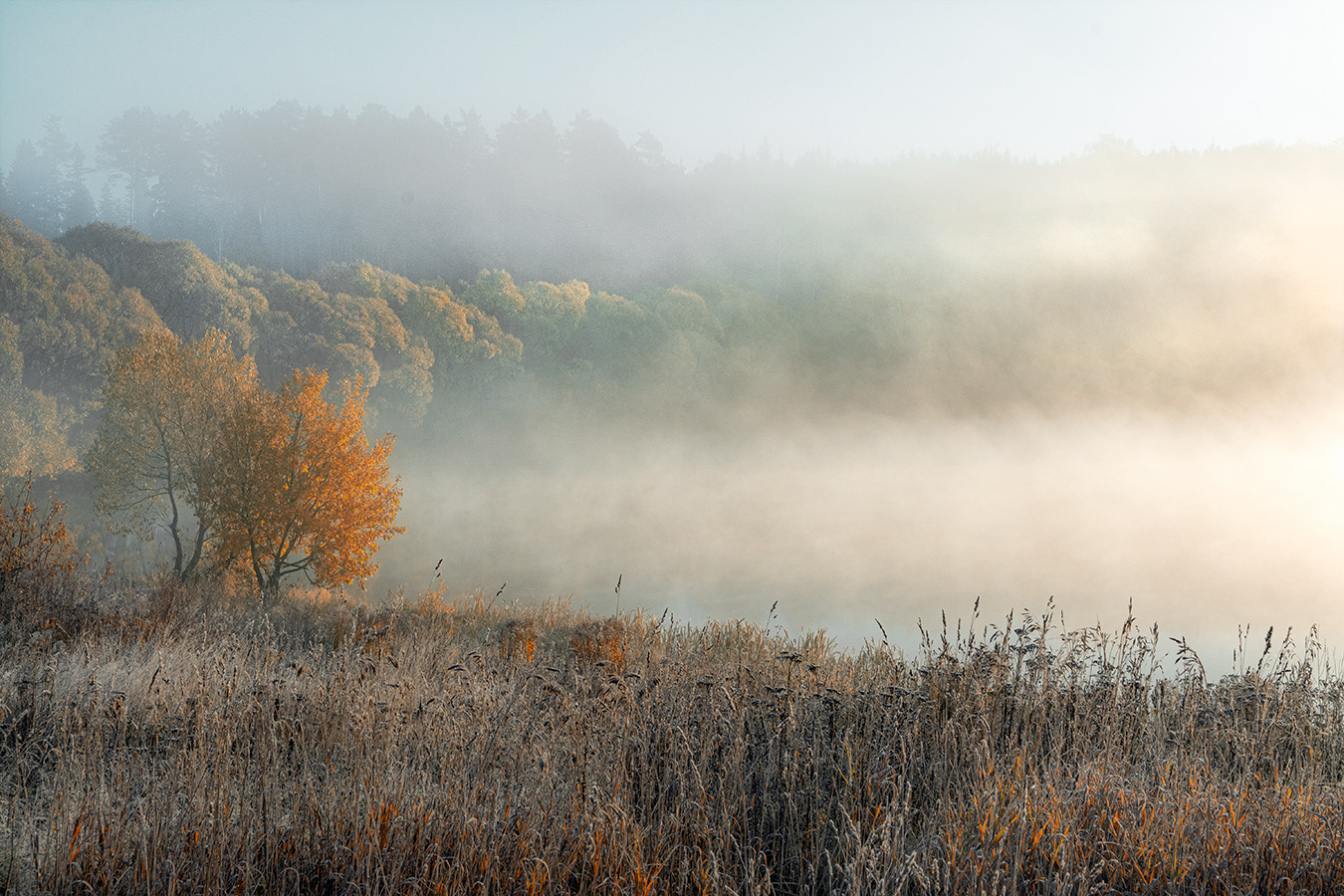 Еще про осень.