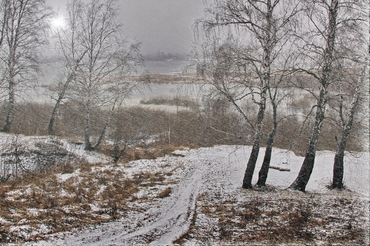 Ноябрьским днём.