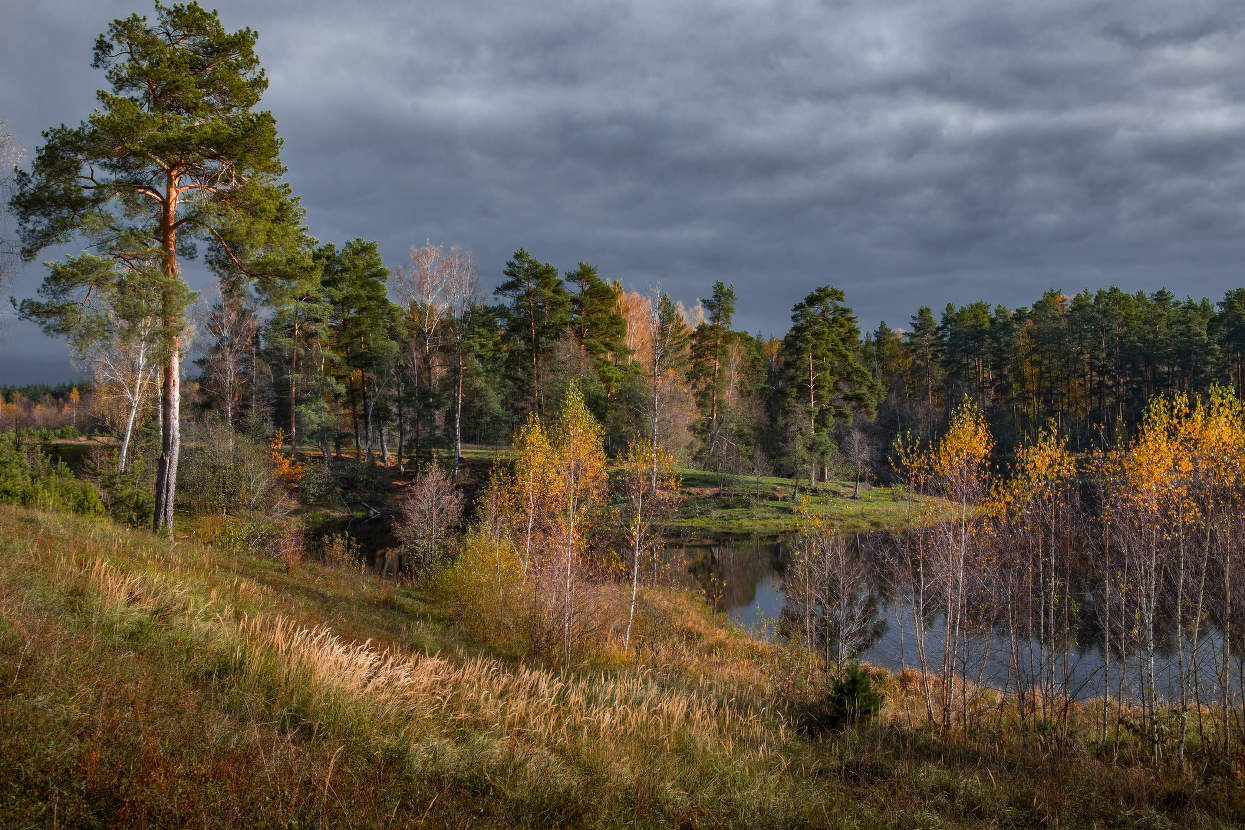 Погожий день.