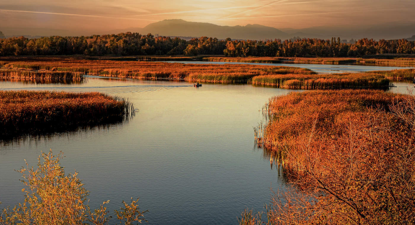 Волжские затоны.