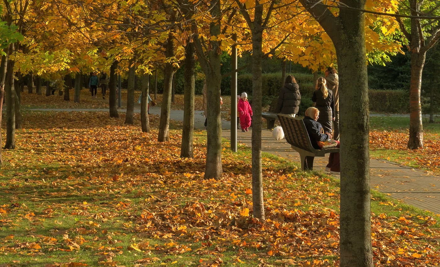 Осенние темы