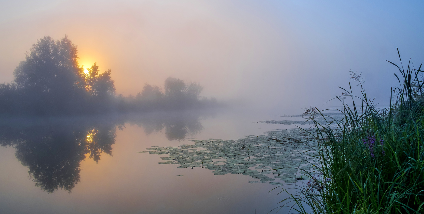 Лето. Рассвет.