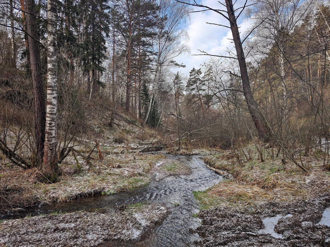 А на завтра снег передают.