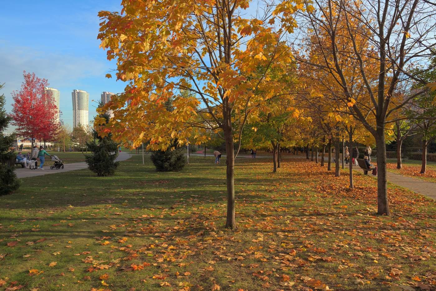 Осенние темы