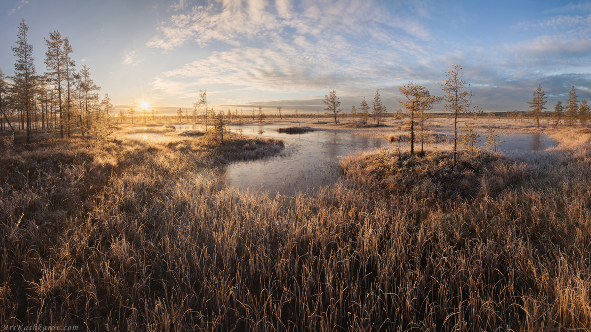 "Тепло осеннего утра"