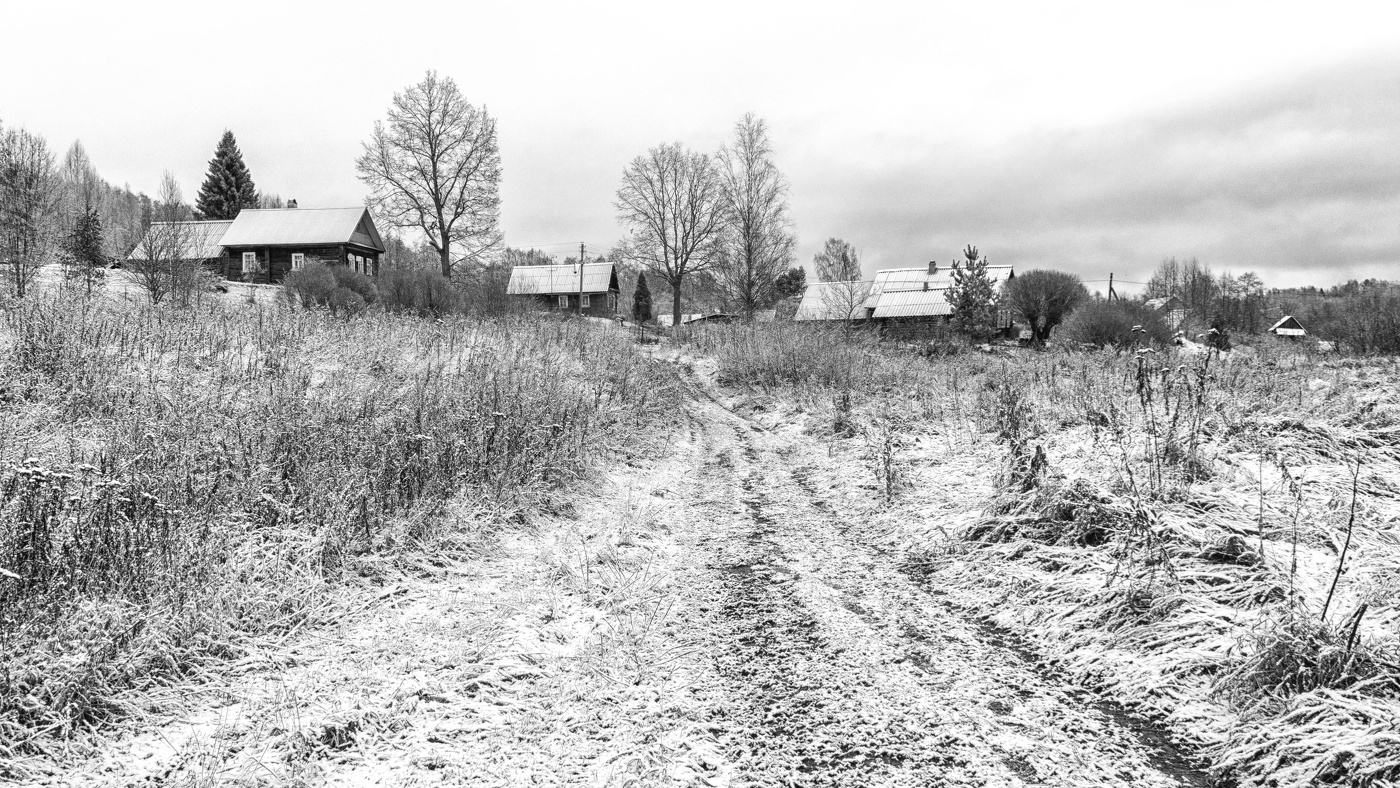 Жизнь вокруг