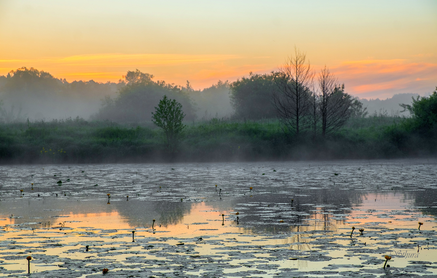 Рано утром.
