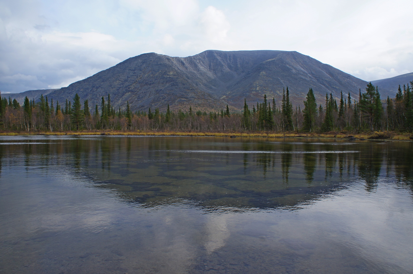 ** Проявленная полигональ