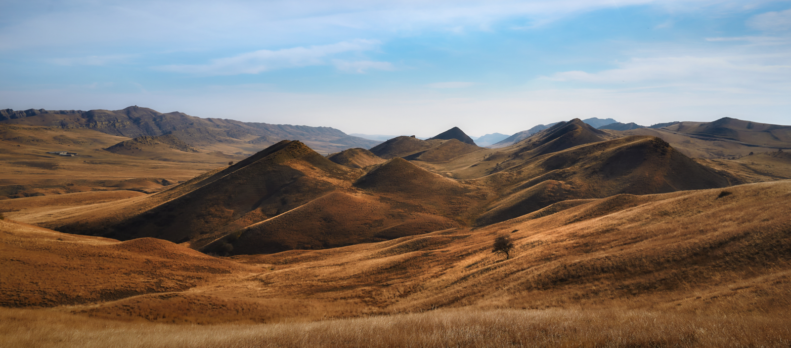 на границе степи и пустыни