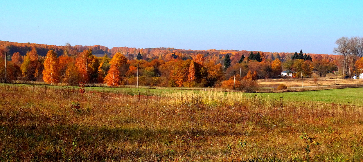 Был разгар осени