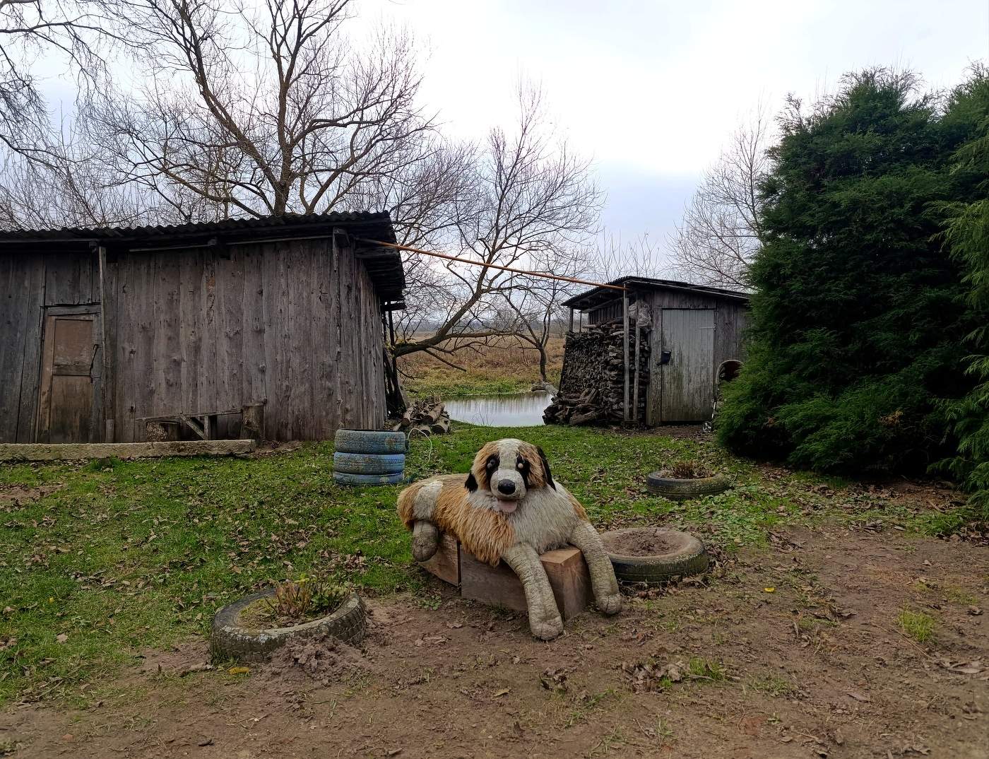 Who Let the Dog Out?