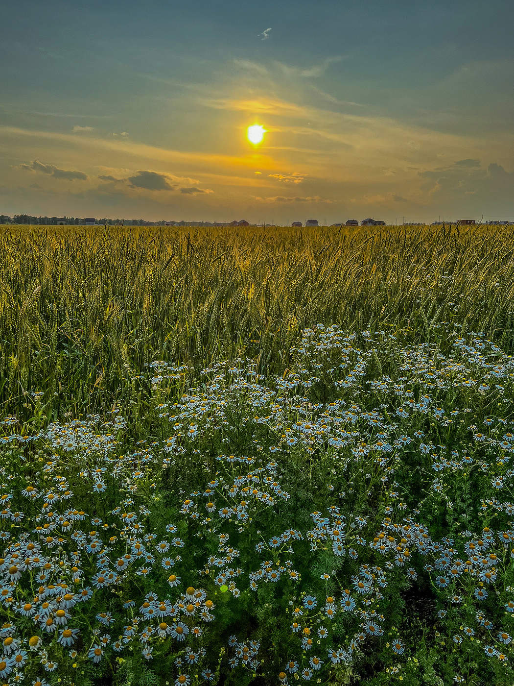 Знойный вечер